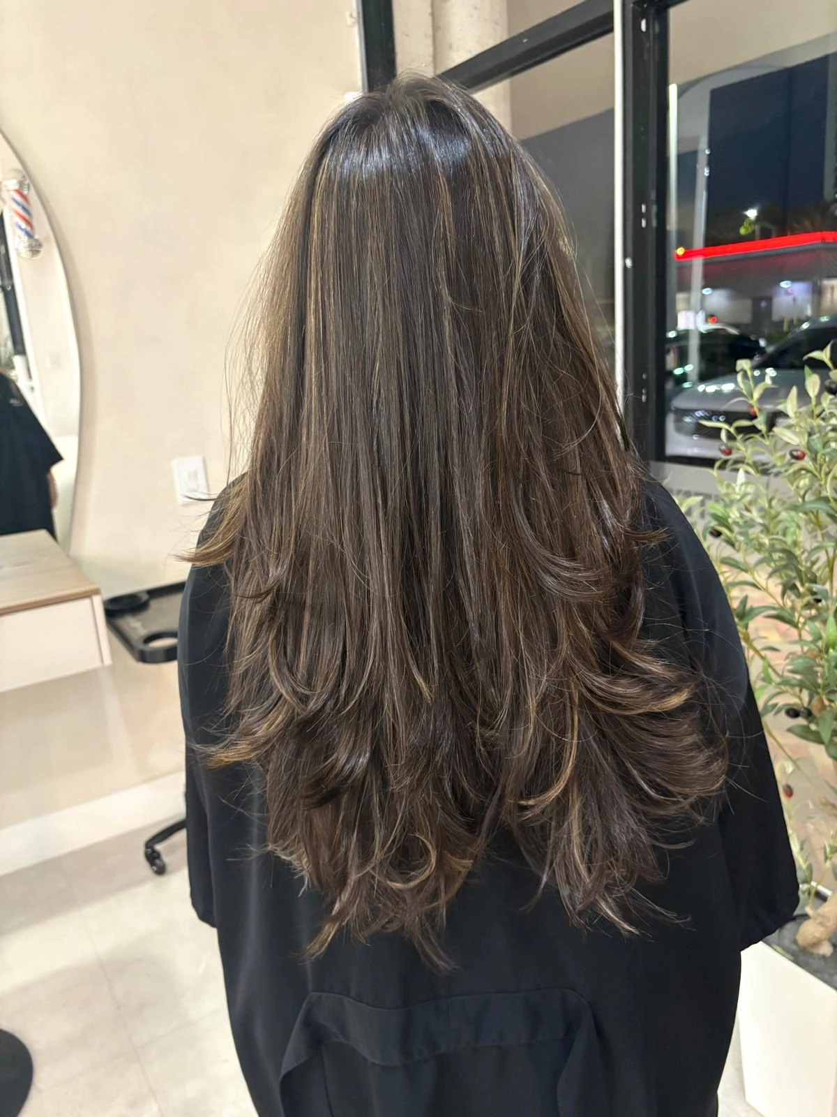 Brunette air touch seen from behind